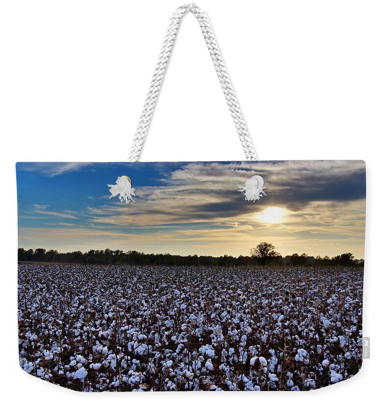 Ag Weekender Tote Bag featuring the photograph Open Boll Sunset by David Zarecor