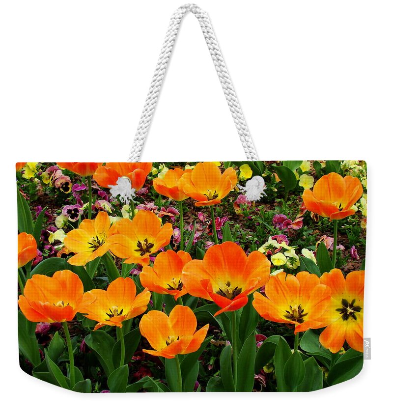 Fine Art Weekender Tote Bag featuring the photograph Open by Rodney Lee Williams