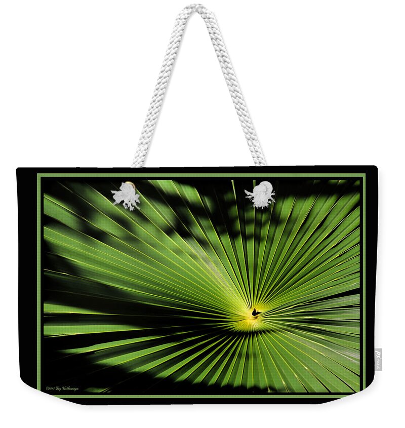 Palmetto Fan Canvas Print Weekender Tote Bag featuring the photograph Optical Illusion by Lucy VanSwearingen