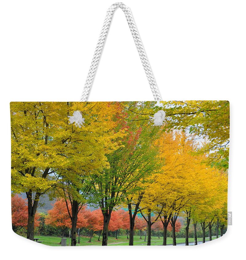Fall Weekender Tote Bag featuring the photograph Row Of Trees by Kirt Tisdale