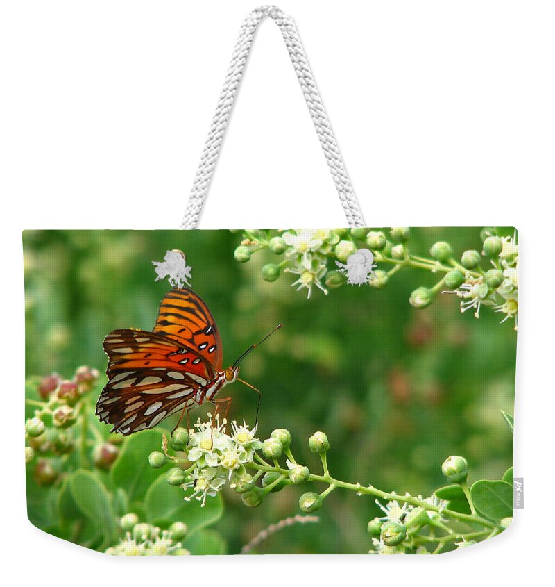 Butterfly Weekender Tote Bag featuring the photograph Orange Butterfly by Marcia Socolik