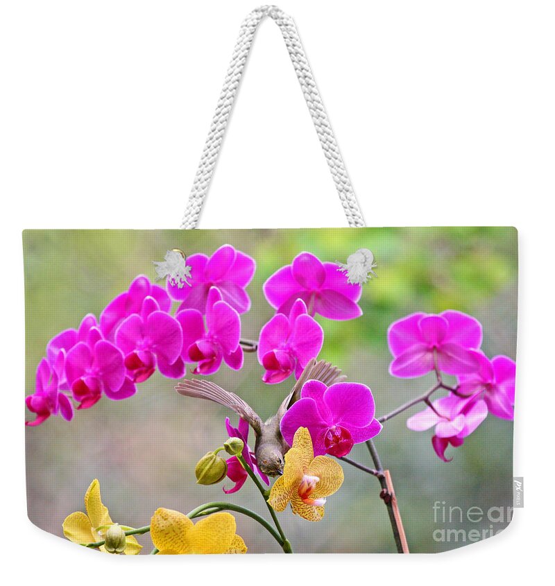 Orange Crown Warbler Weekender Tote Bag featuring the photograph Warbler on Orchards Photo by Luana K Perez