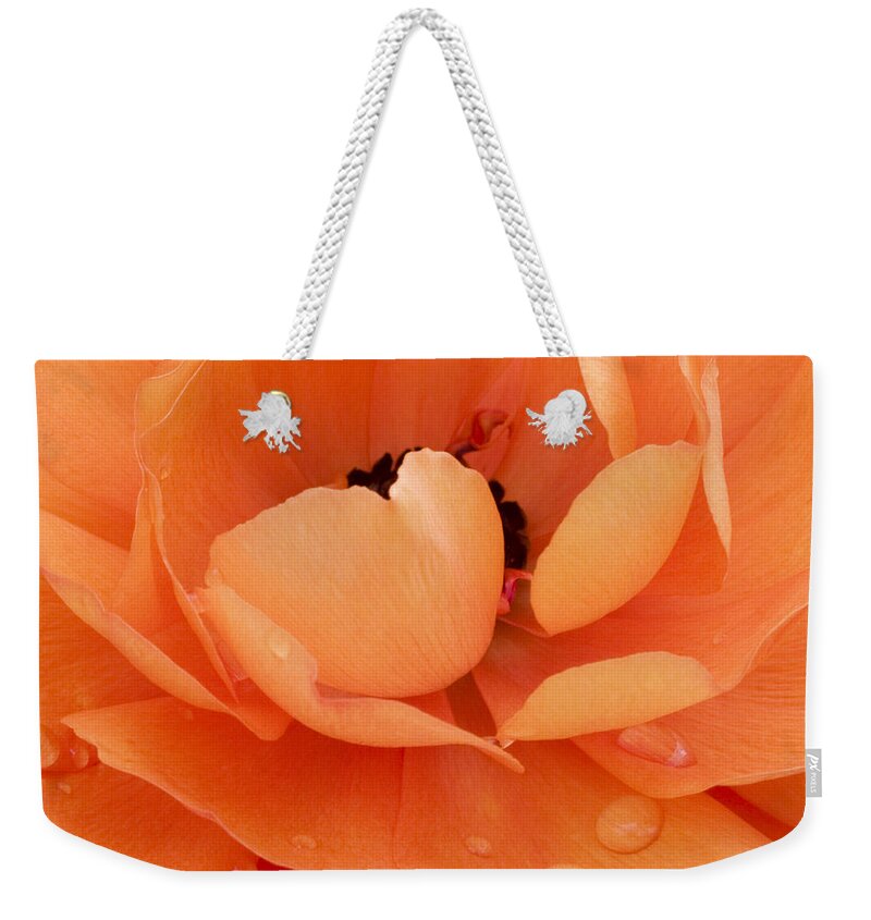 Persian Buttercup Weekender Tote Bag featuring the photograph Orange Delight by Patty Colabuono