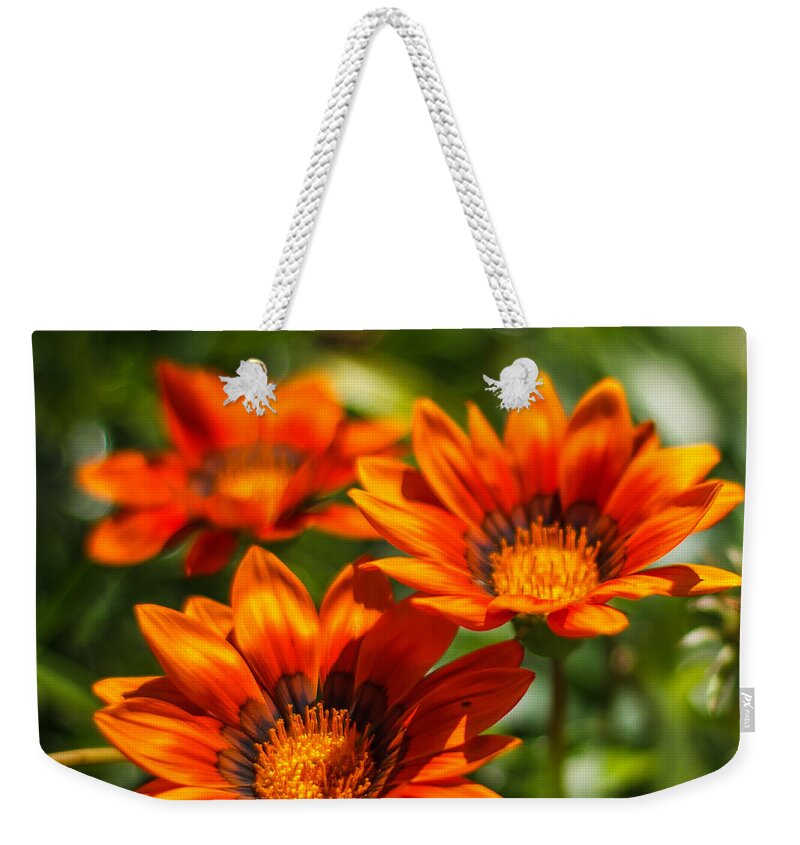 Florida Weekender Tote Bag featuring the photograph Orange flowers by Jane Luxton