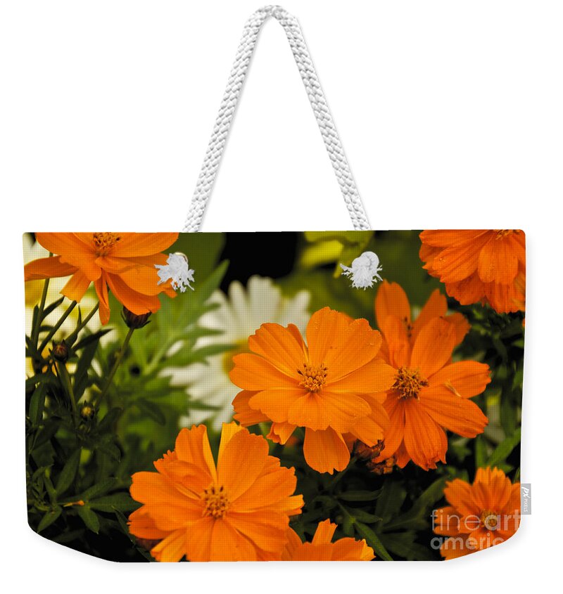 Orange Weekender Tote Bag featuring the photograph Orange Flowers by William Norton
