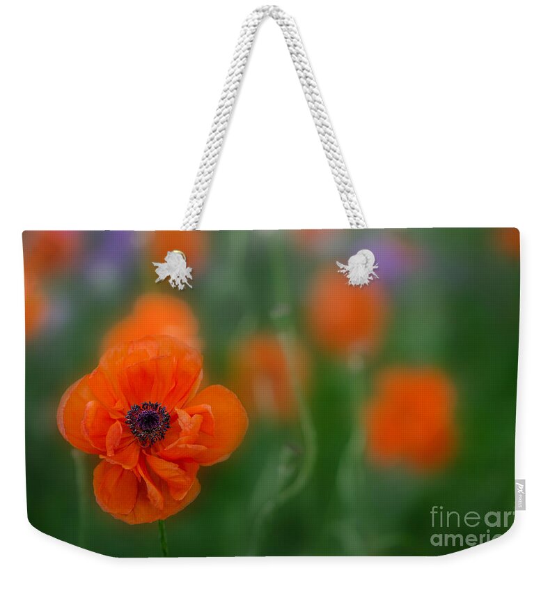 Flower Weekender Tote Bag featuring the photograph Orange Poppy by Michael Arend