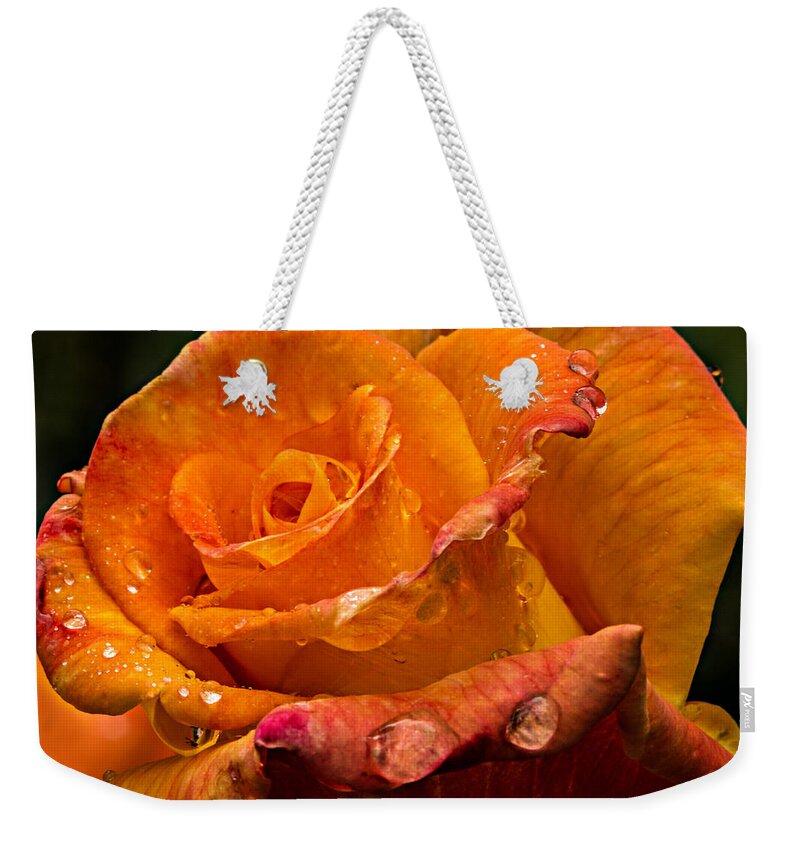 Rose Weekender Tote Bag featuring the photograph Orange Rose Drops by Mary Jo Allen