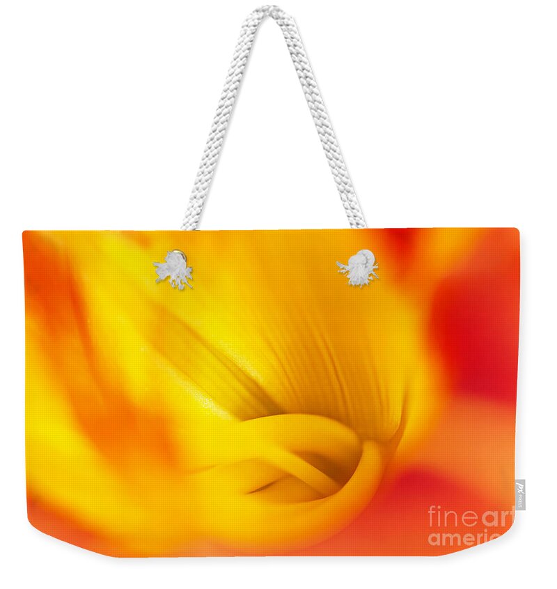 Tiger Lily Weekender Tote Bag featuring the photograph Orange Sherbet by Gwen Gibson