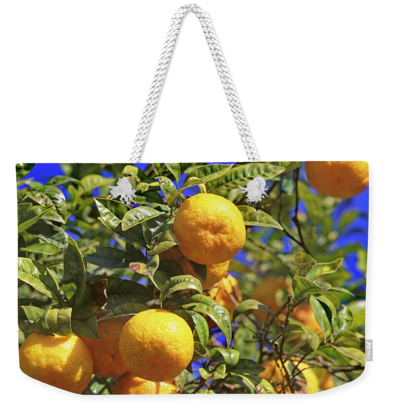 Orange Weekender Tote Bag featuring the photograph Orange Tree by Hans-peter Merten
