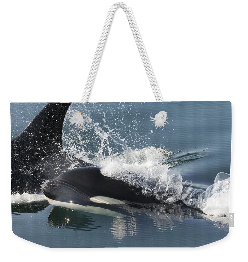 Feb0514 Weekender Tote Bag featuring the photograph Orcas Surfacing Brothers Island Alaska by Flip Nicklin
