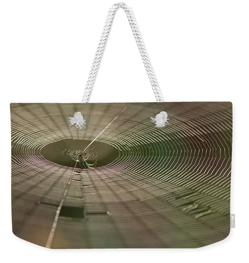 Spider Weekender Tote Bag featuring the photograph Orchard Orbweaver #1 by Paul Rebmann