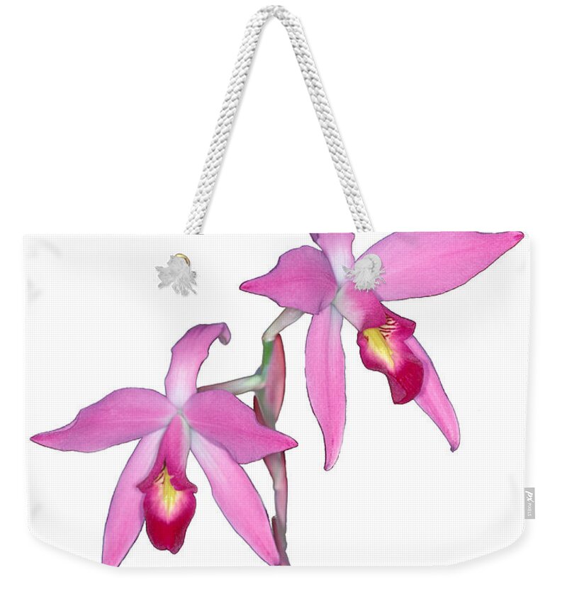 Flower Weekender Tote Bag featuring the photograph Orchid 1-1 by Andy Shomock