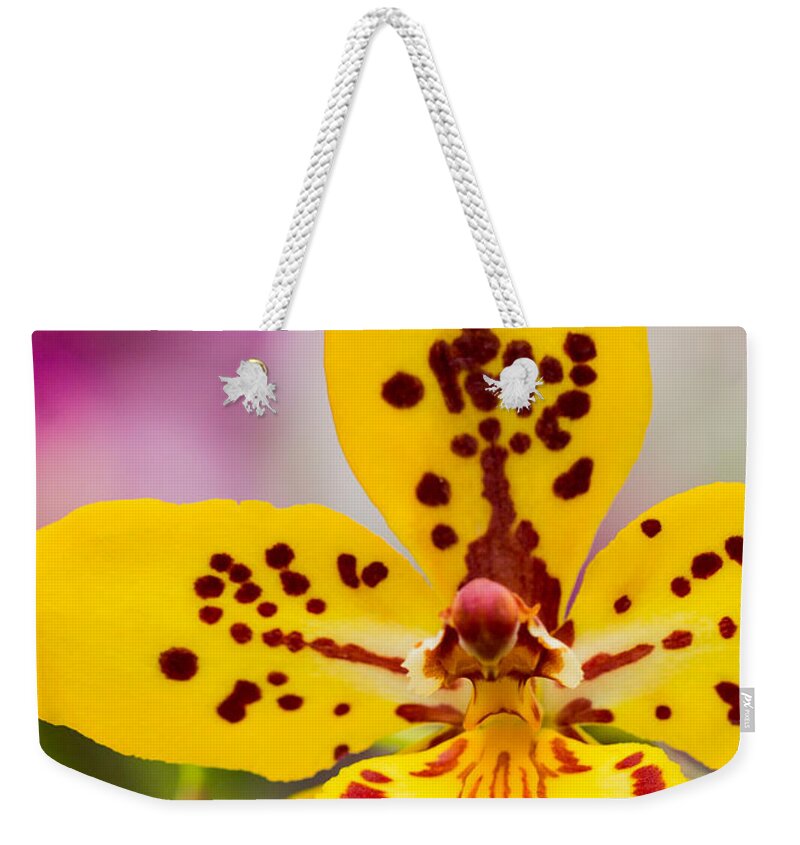 Orchid Weekender Tote Bag featuring the photograph Orchid 2 of 3 by Brad Marzolf Photography