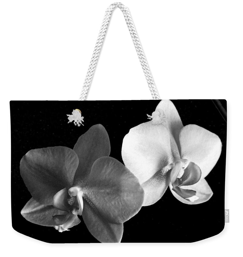 Floral Weekender Tote Bag featuring the photograph Orchid in black and white by Steve Karol