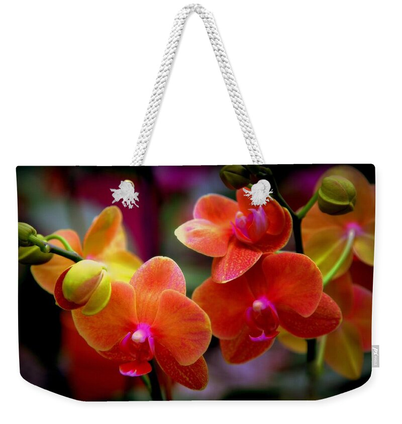 Orchids Weekender Tote Bag featuring the photograph Orchid Melody by Karen Wiles