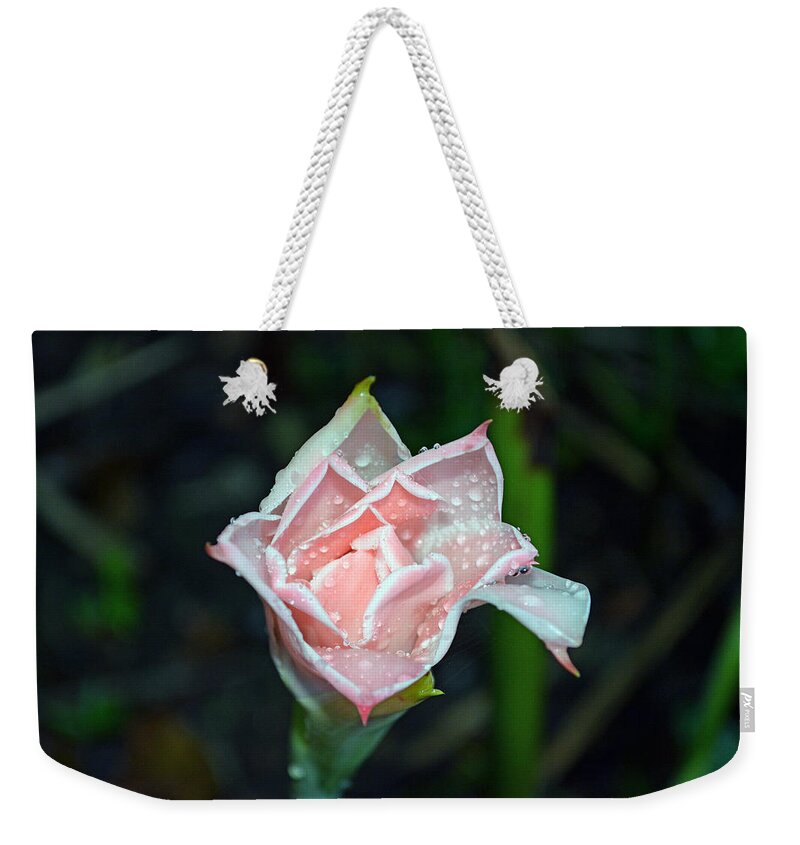 Stem Weekender Tote Bag featuring the photograph Orchid of Costa Rica by Gary Keesler