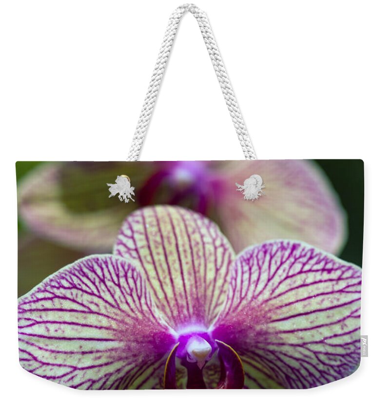 Flowers Weekender Tote Bag featuring the photograph Orchid one by Ken Frischkorn