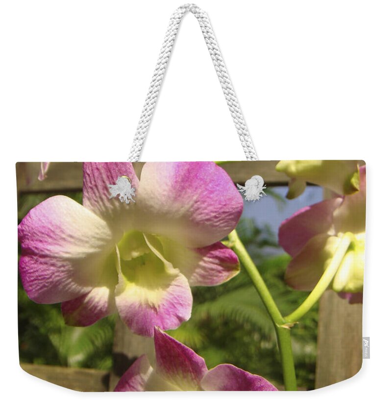 Orchid Weekender Tote Bag featuring the photograph Orchid Splendor by Karen Zuk Rosenblatt