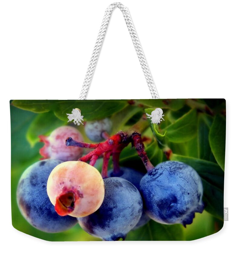 Blueberries Weekender Tote Bag featuring the photograph Organic Blues by Karen Wiles