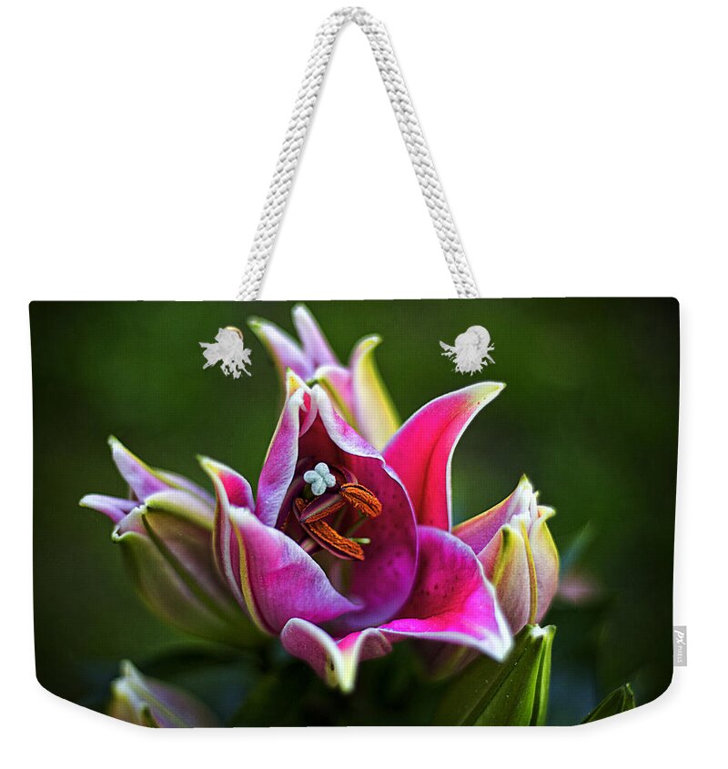 Oriental Day Lilies Weekender Tote Bag featuring the photograph Oriental Day Lily by Ben Shields