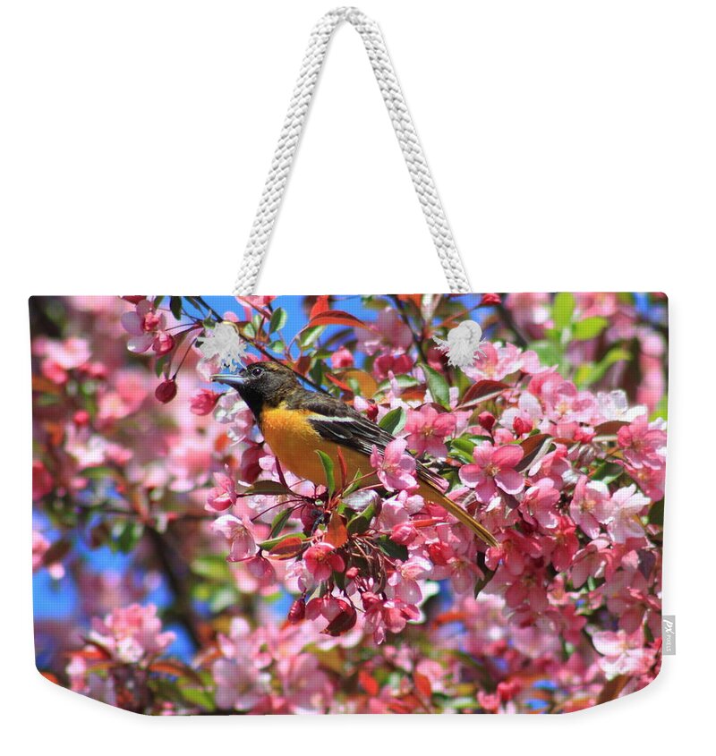 Nature Weekender Tote Bag featuring the photograph Oriole in Apple Tree by John Burk