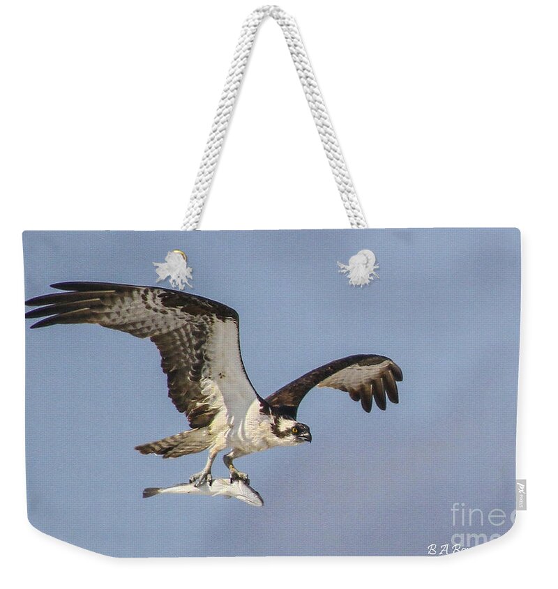 Osprey Weekender Tote Bag featuring the photograph Osprey with dinner by Barbara Bowen