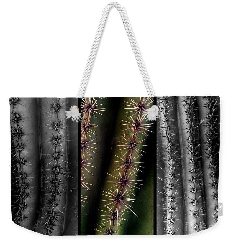 Cacti Weekender Tote Bag featuring the photograph Ouchie Two by Marlene Burns