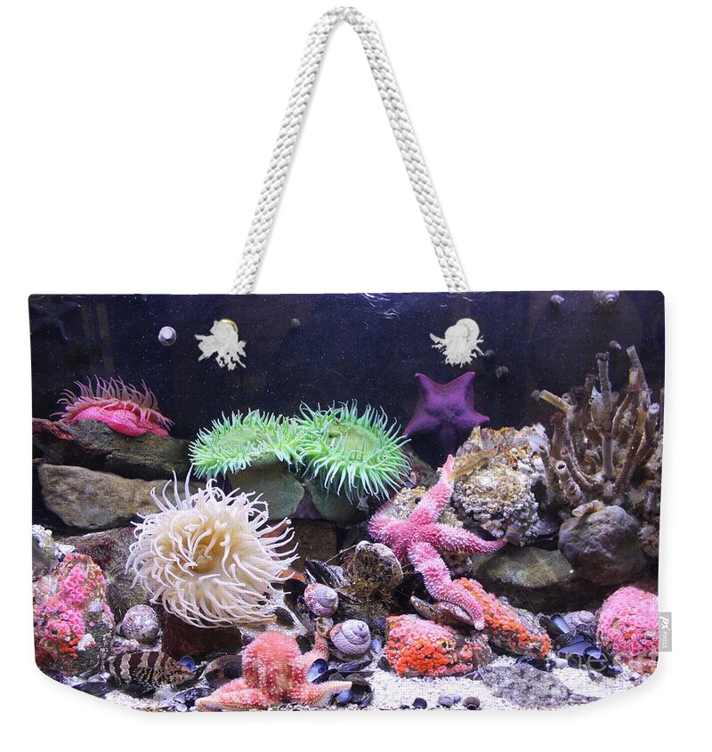 Colours Weekender Tote Bag featuring the photograph Our Colourful Underwater World by Vicki Spindler