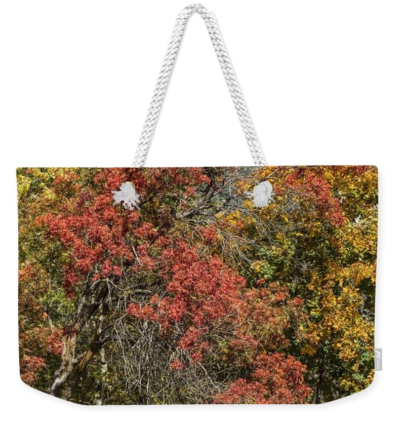 Changing Weekender Tote Bag featuring the photograph Out in the Country by Peggy Hughes
