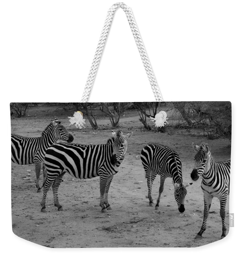Out Of Africa Weekender Tote Bag featuring the photograph Out of Africa Zebras by Phyllis Spoor