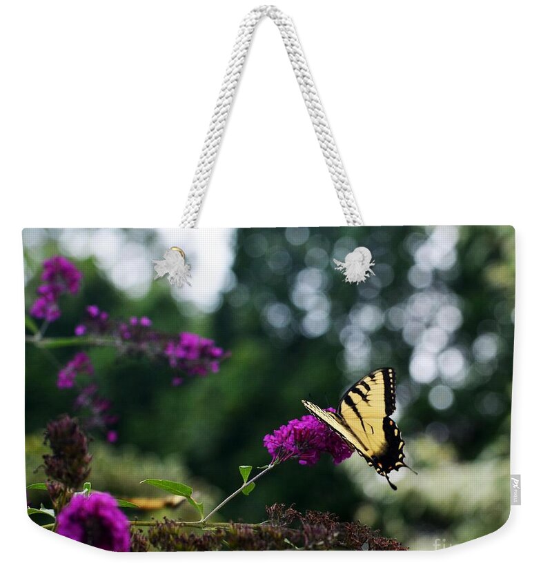 Butterfly Weekender Tote Bag featuring the photograph Out Of Bounds 3 by Judy Wolinsky