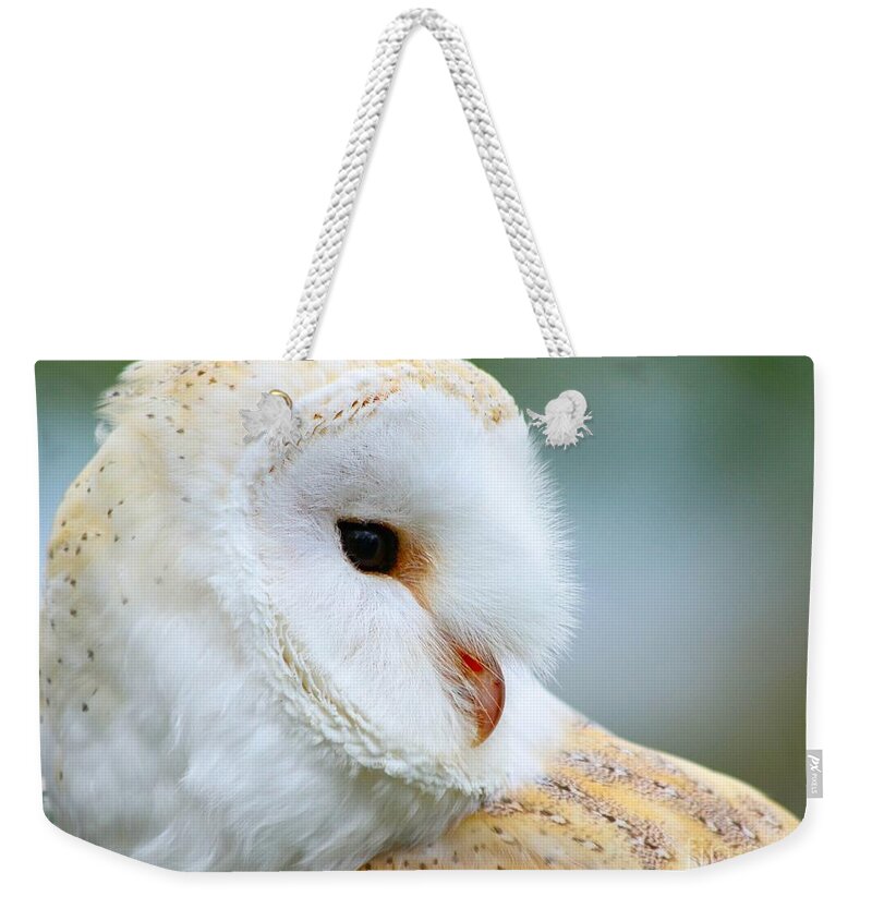 Owls Weekender Tote Bag featuring the photograph Over her shoulder by Heather King