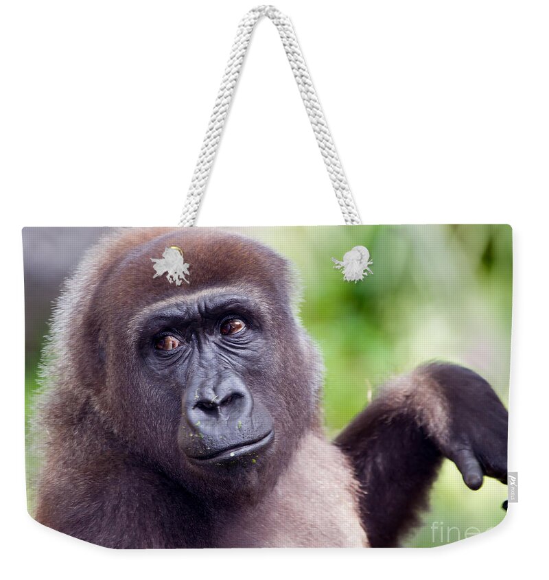 Busch Gardens Weekender Tote Bag featuring the photograph Over My Shoulder by Sue Karski