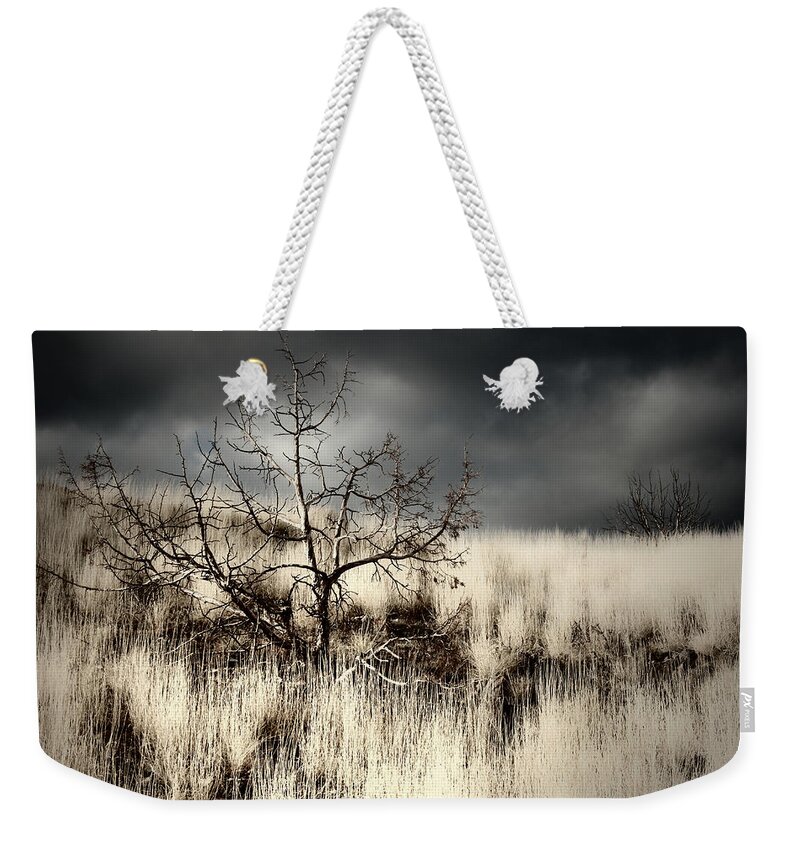 Storm Weekender Tote Bag featuring the photograph Over Your Shoulder by Mark Ross