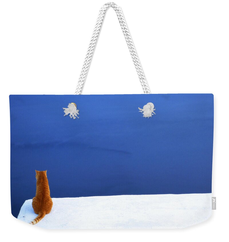 Cat Weekender Tote Bag featuring the photograph Overlook by Max Waugh