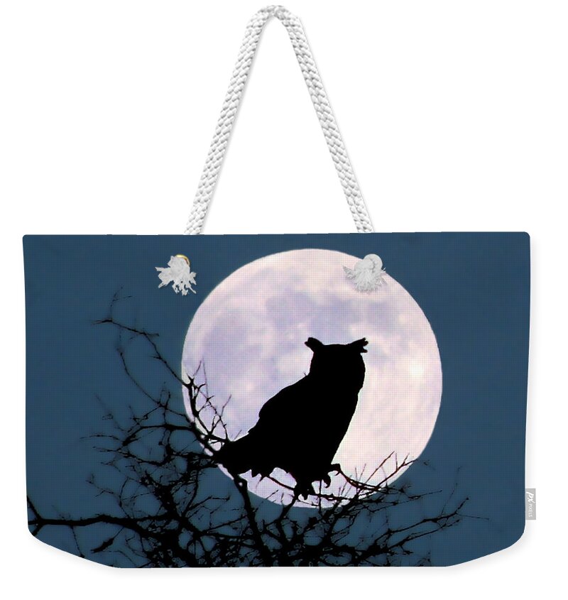 Nature Weekender Tote Bag featuring the photograph Owl and Blue Moon by Peggy Urban