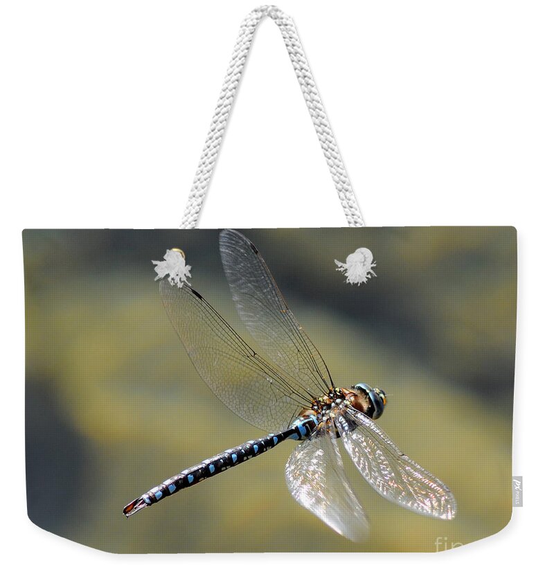 Wildlife Weekender Tote Bag featuring the photograph Paddletail Darner in Flight by Vivian Christopher