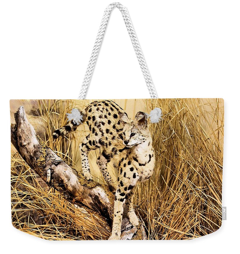 Cheetah Weekender Tote Bag featuring the photograph Painted Cheetah by Kristin Elmquist