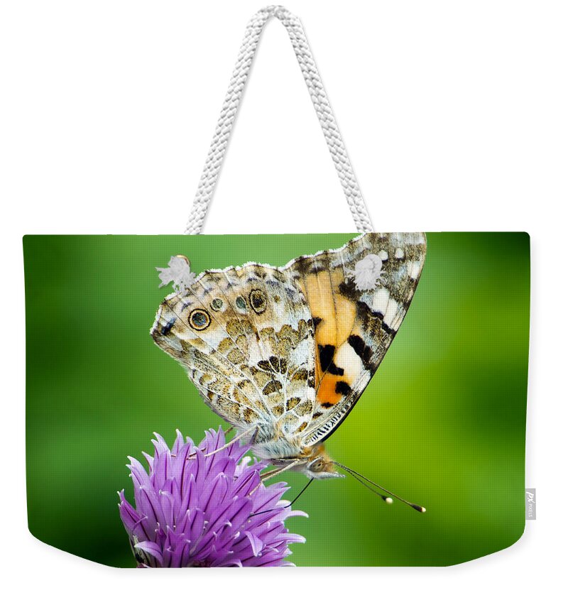 Painted Lady Weekender Tote Bag featuring the photograph Painted Lady by Torbjorn Swenelius