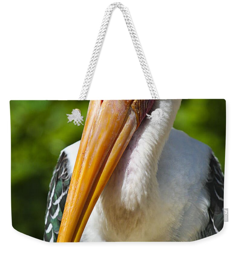 Animals Weekender Tote Bag featuring the photograph Painted Stork by Timothy Hacker