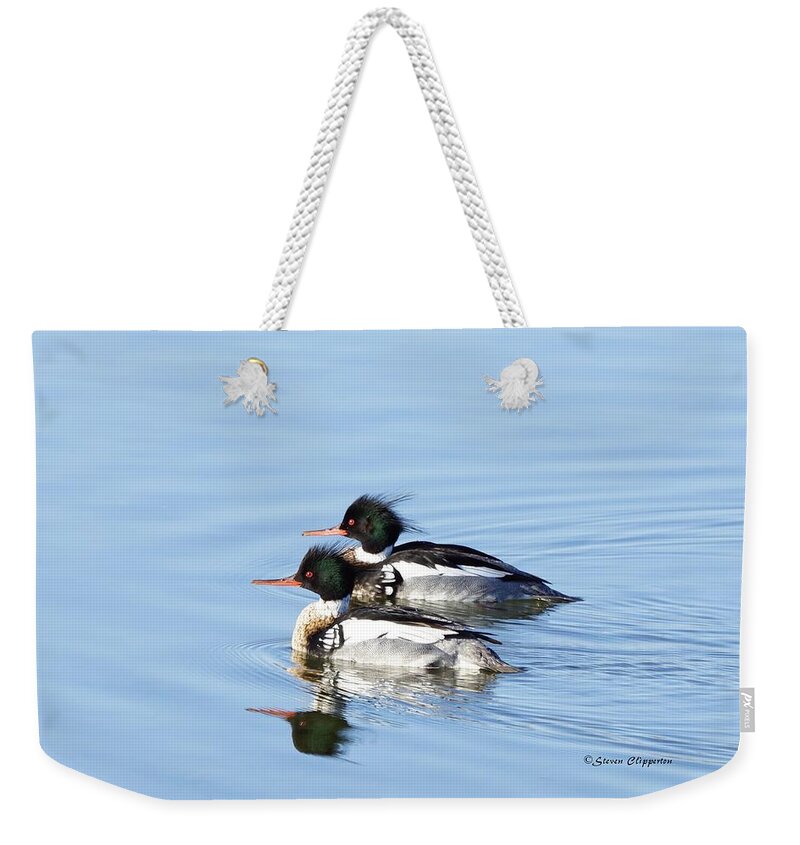 Merganser Weekender Tote Bag featuring the photograph Pair of Red Breasted Merganser's by Steven Clipperton