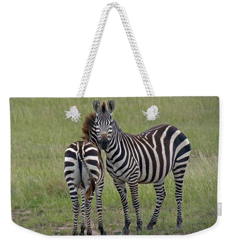 Zebra Weekender Tote Bag featuring the photograph Pair of zebra by Tony Murtagh
