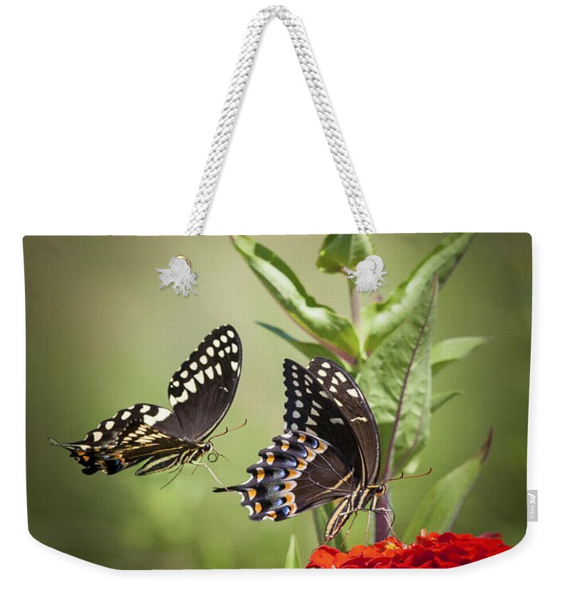 Butterflies Weekender Tote Bag featuring the photograph Palamedes Swallowtail Butterflies by Jo Ann Tomaselli