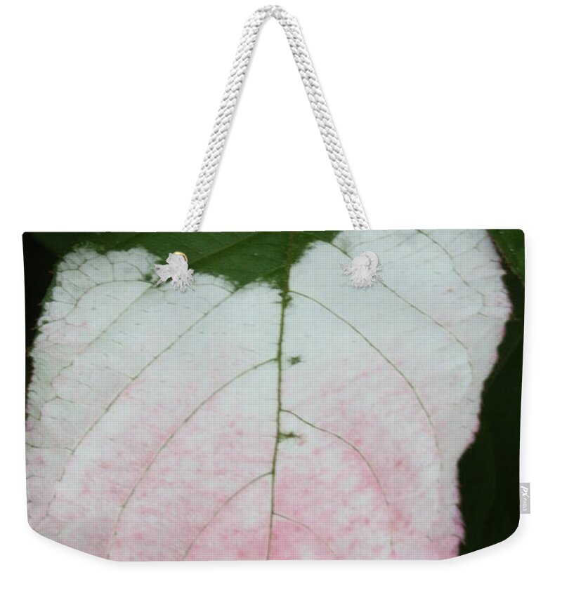 Leaves Weekender Tote Bag featuring the photograph Pale Blush by Heather Gallup