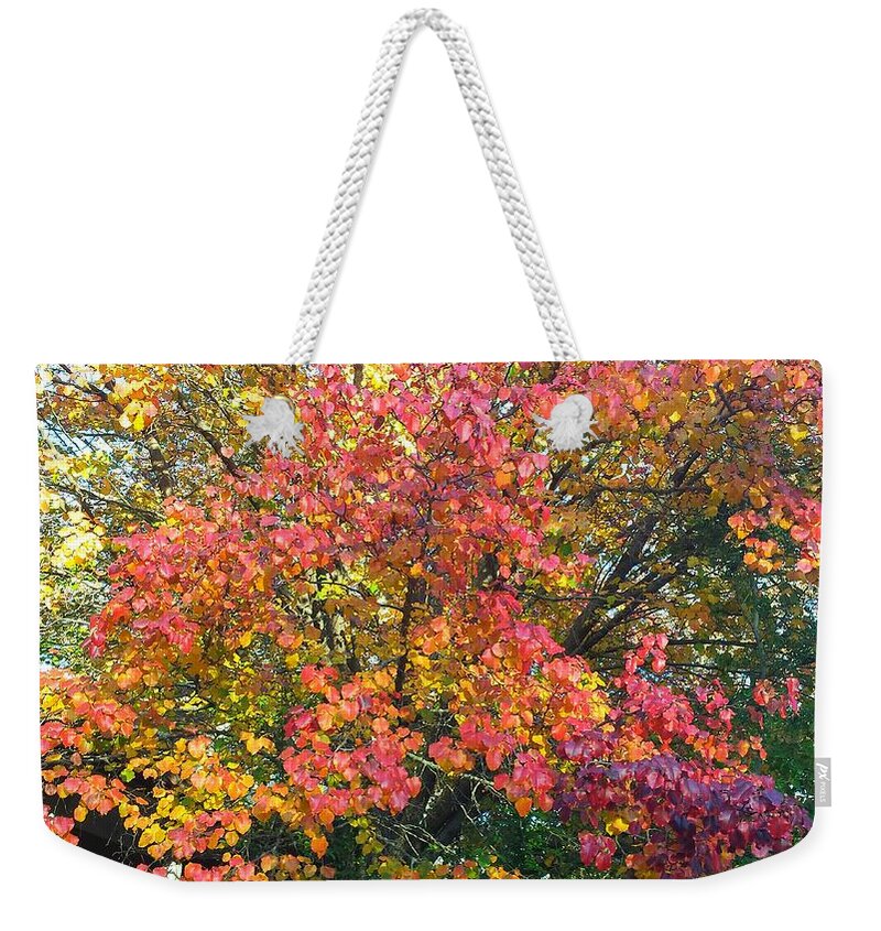 Fall Weekender Tote Bag featuring the photograph Pallette of Fall Colors by Kenny Glover