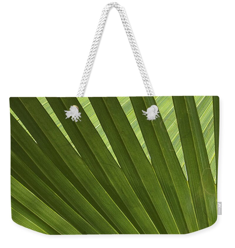 Palm Weekender Tote Bag featuring the photograph Palm Abstract by Patty Colabuono
