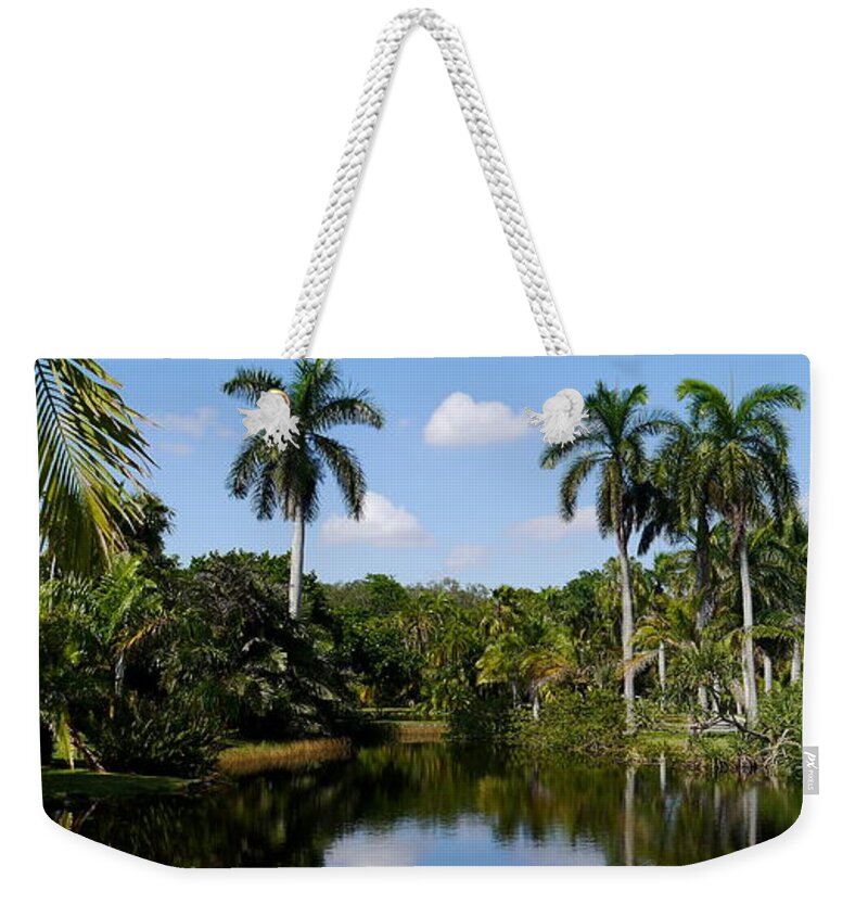 Palm Weekender Tote Bag featuring the photograph Palm Reflection and Shadow by Christiane Schulze Art And Photography