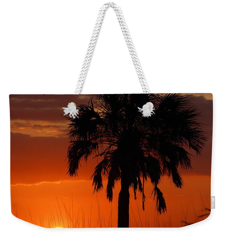 Palm Sunset Weekender Tote Bag featuring the photograph Palm Sunset by David Lee Thompson