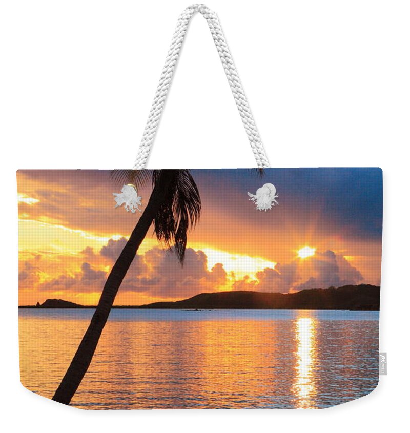 Palm Tree Weekender Tote Bag featuring the photograph Palm Tree and Tropical Sunset by Roupen Baker