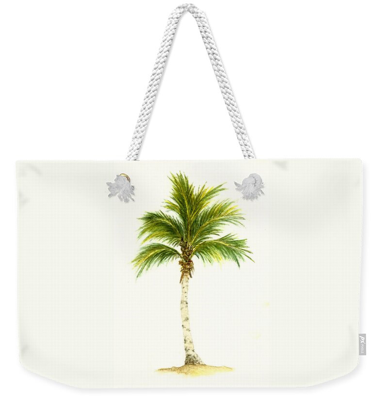Tree Weekender Tote Bag featuring the painting Queen Palm Tree by Michael Vigliotti